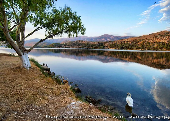 Elisso * 아르고스톨리온